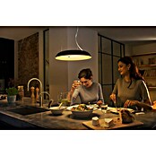 Philips Hue LED viseča okrogla svetilka Amaze  (25 W, Ø x V: 43,4 x 150 cm, Črna) | 3015 - Pendelleuchte Wohnraum | CACA - Pendelleuchte Wohnraum | CAC - Indoorleuchten | CA - Beleuchtung | C - Elektro | BAUHAUS