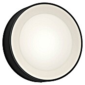 Philips Hue LED-Außenwandleuchte (1-flammig, 15 W, Lichtfarbe: RGBW, IP44, Schwarz)