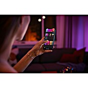 Philips Hue Smart-LED-Lampe Waca Lightguide Ellipse (E27, Dimmbar, RGBW, 500 lm, 6,8 W, 1 Stk.) | BAUHAUS