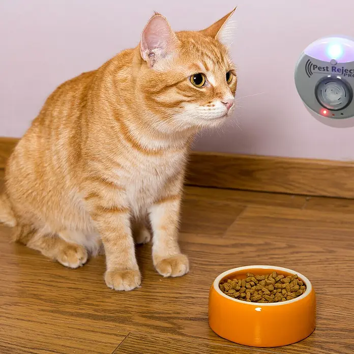 Insektenvernichter Pest Reject Pro V2 - 3,2 W, Wirkungsbereich: 200 m² - Eine orangefarbene Katze sitzt neben einem Napf Trockenfutter, während ein "Pest Reject Pro" an der Wand befestigt ist.