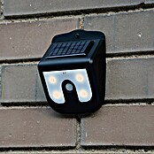 LED-Solar-Außenwandleuchte Vigilamp (0,8 W, Schwarz, Mit Bewegungsmelder)