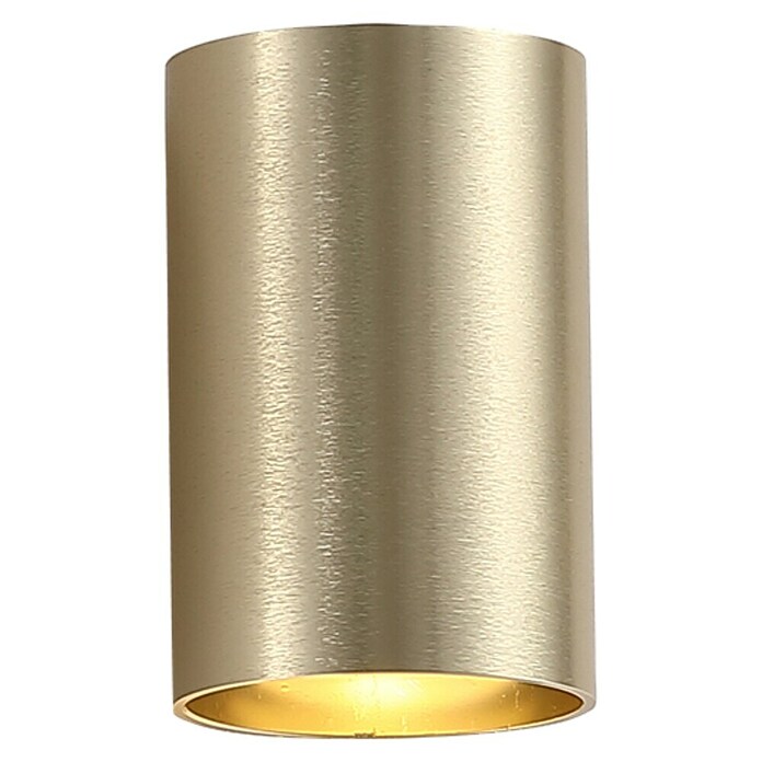 Searchlight Wandlamp Cylinder Down Light (Goud, GU10, Ø x h: 6,5 x 14 cm) | BAUHAUS