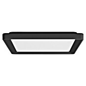 Philips Hue LED-Panel White Ambiance Tento S (12,6 W, L x B x H: 29,5 x 29,5 x 3,5 cm, Schwarz, Warmweiß) | BAUHAUS