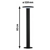 Paulmann Plug & Shine Aplique para exterior LED (5,5 W, RGBW, IP44, Temperatura del color: 3.000 K) | BAUHAUS