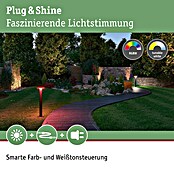 Paulmann Plug & Shine Aplique para exterior LED (5,5 W, RGBW, IP44, Temperatura del color: 3.000 K) | BAUHAUS