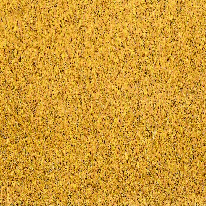 Classis Carpets Infinity Grass Rasenteppich World of Colors200 x 133 cm, Sunflower Gold, Ohne Noppen Detail Shot