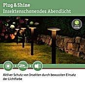 Paulmann Plug & Shine Aplique para exterior LED Plate (7 W, Ámbar, IP44, Temperatura del color: 2.200 K) | BAUHAUS