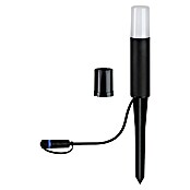 Paulmann Plug & Shine Baliza LED Flarea (Negro, Altura: 20 cm, Blanco cálido) | BAUHAUS