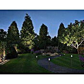 Paulmann Plug & Shine Baliza LED Flarea (Negro, Altura: 20 cm, Blanco cálido) | BAUHAUS