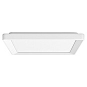 Philips Hue LED-Panel White Ambiance Tento S (10,6 W, L x B x H: 29,5 x 29,5 x 3,5 cm, Weiss, Kaltweiß) | BAUHAUS