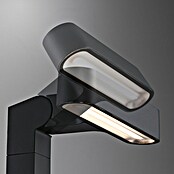 Paulmann Plug & Shine Foco LED de jardín Ito Horizontal (7,5 W, Blanco cálido, L x An x Al: 18,8 x 2,7 x 110 cm) | BAUHAUS