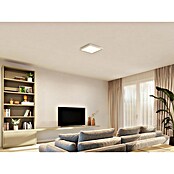 Philips Hue LED-Panel White Ambiance Tento S (10,6 W, L x B x H: 29,5 x 29,5 x 3,5 cm, Weiss, Kaltweiß) | BAUHAUS