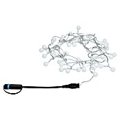 Paulmann Plug & Shine Guirnalda luminosa LED (Para exterior, Color de luz: Blanco cálido, Número de bombillas: 48 ud., Largo: 5 m) | BAUHAUS