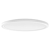 Philips Hue LED-Panel rund White Ambiance Tento XL (25 W, Ø x H: 54,2 x 3,56 cm, Weiß, Kaltweiß) | BAUHAUS