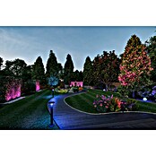 Paulmann Plug & Shine Aplique para exterior LED (5,5 W, RGBW, IP44, Temperatura del color: 3.000 K) | BAUHAUS