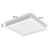 Philips Hue LED-Panel White Ambiance Tento S (10,6 W, L x B x H: 29,5 x 29,5 x 3,5 cm, Weiss, Kaltweiß) | BAUHAUS