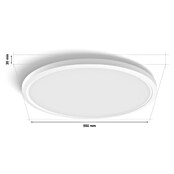 Philips Hue LED-Panel rund White Ambiance Tento XL (25 W, Ø x H: 54,2 x 3,56 cm, Weiß, Kaltweiß) | BAUHAUS