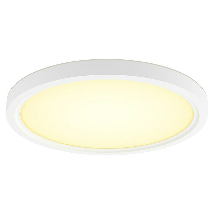 Philips Hue Ledpaneel, rond Tento WA (16,6 W, Ø x h: 29,1 x 3,2 cm, Wit, Koud wit) | BAUHAUS