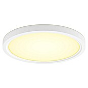 Philips Hue Ledpaneel, rond Tento WA (16,6 W, Ø x h: 29,1 x 3,2 cm, Wit, Koud wit) | BAUHAUS