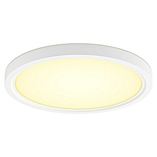 Philips Hue Ledpaneel, rond Tento WA (16,6 W, Ø x h: 29,1 x 3 cm, Zwart, Meerkleurig)