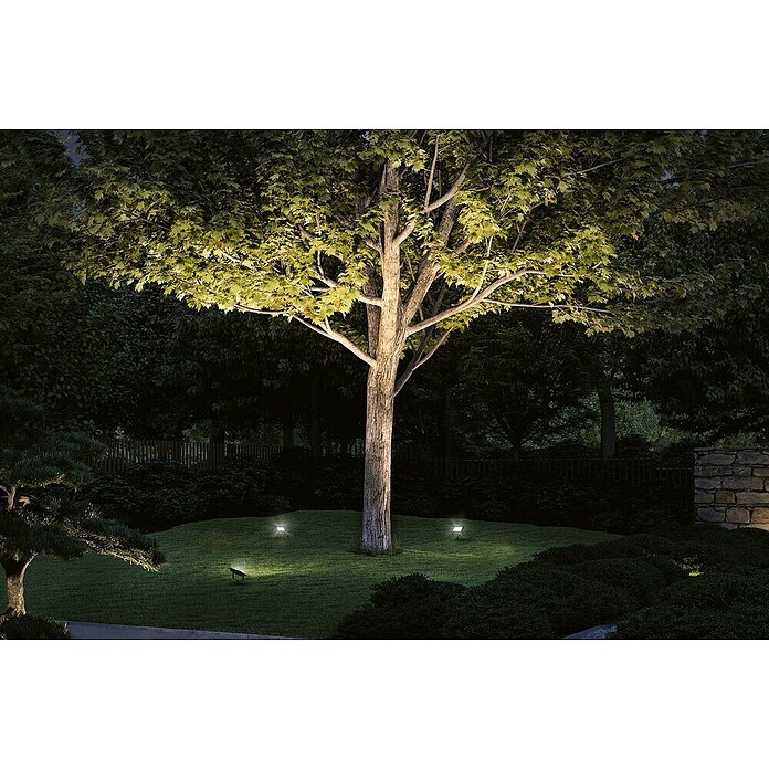 Paulmann Plug & Shine Foco LED de jardín Flood (Blanco cálido, L x An x Al: 26 x 160 x 145 mm) | BAUHAUS