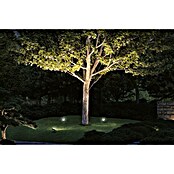 Paulmann Plug & Shine Foco LED de jardín Flood (Blanco cálido, L x An x Al: 26 x 160 x 145 mm) | BAUHAUS