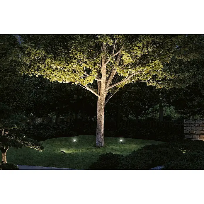 Paulmann Plug & Shine LED-Gartenspot Flood - Warmweiß, L x B x H: 26 x 160 x 145 mm - Ein großer Baum wird von mehreren Scheinwerfern aus dem Boden beleuchtet, was eine schöne Gartenatmosphäre schafft.