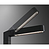 Paulmann Plug & Shine Foco LED de jardín Ito Vertical (7,5 W, Blanco cálido, L x An x Al: 30 x 4,7 x 110 cm) | BAUHAUS