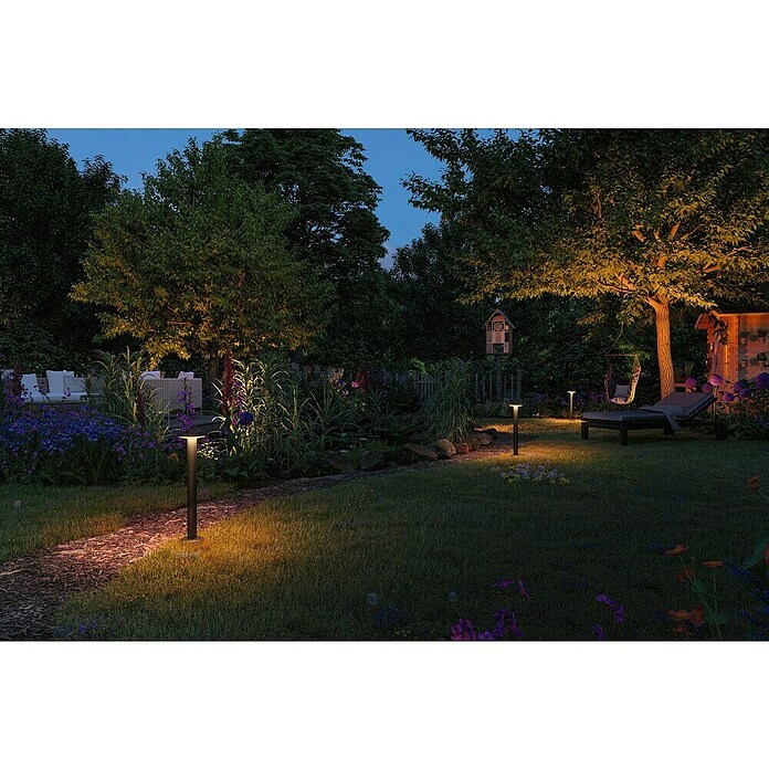 Paulmann Plug & Shine Aplique para exterior LED Plate (7 W, Ámbar, IP44, Temperatura del color: 2.200 K) | BAUHAUS