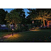 Paulmann Plug & Shine Aplique para exterior LED Plate (7 W, Ámbar, IP44, Temperatura del color: 2.200 K) | BAUHAUS
