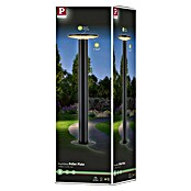 Paulmann Plug & Shine Aplique para exterior LED Plate (7 W, Ámbar, IP44, Temperatura del color: 2.200 K) | BAUHAUS