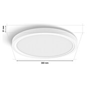 Philips Hue LED-Panel rund Tento (25 W, Ø x H: 29,1 x 3,2 cm, Weiß, RGBW) | BAUHAUS