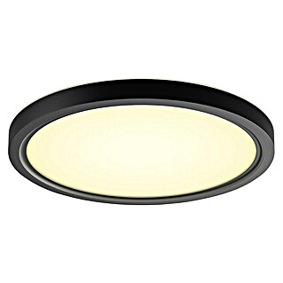 Philips Hue Ledpaneel, rond Tento WA (16,6 W, Ø x h: 29,1 x 3,2 cm, Zwart, Koud wit)