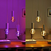Philips Hue Smart-LED-Lampe Waca Lightguide Globe (E27, Dimmbar, RGBW, 500 lm, 6,8 W, 1 Stk., G125) | BAUHAUS