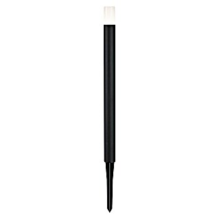 Paulmann Plug & Shine Baliza LED Flarea (Negro, Altura: 60 cm, Blanco cálido)