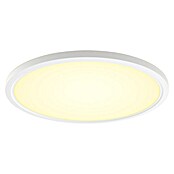 Philips Hue LED-Panel rund White Ambiance Tento XL (25 W, Ø x H: 54,2 x 3,56 cm, Weiß, Kaltweiß) | BAUHAUS