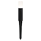 Paulmann Plug & Shine Baliza LED Flarea (Negro, Altura: 20 cm, Blanco cálido) | BAUHAUS