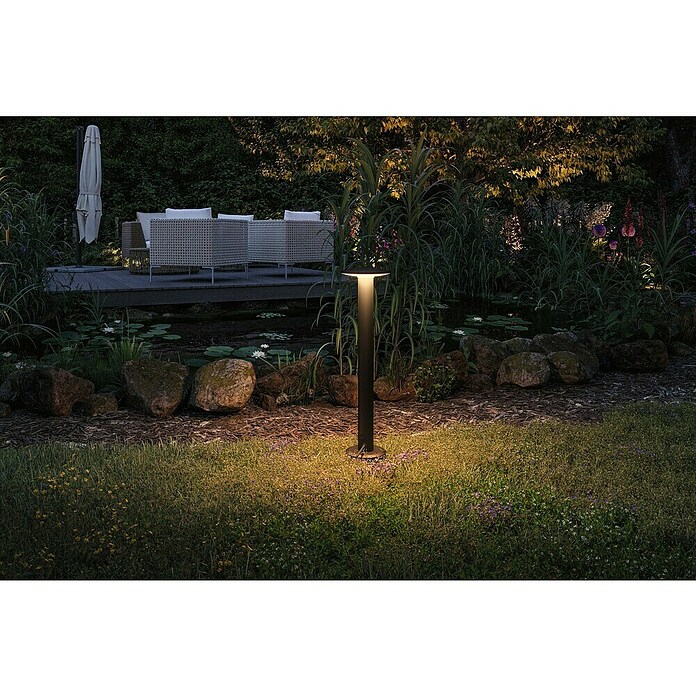 Paulmann Plug & Shine Aplique para exterior LED Plate (7 W, Ámbar, IP44, Temperatura del color: 2.200 K) | BAUHAUS