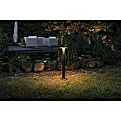 Paulmann Plug & Shine Aplique para exterior LED Plate (7 W, Ámbar, IP44, Temperatura del color: 2.200 K) | BAUHAUS