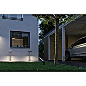 Paulmann Plug & Shine Foco LED de jardín Ito Horizontal (7,5 W, Blanco cálido, L x An x Al: 18,8 x 2,7 x 110 cm) | BAUHAUS