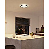 Philips Hue LED-Panel rund Tento WA (16,6 W, Ø x H: 29,1 x 3,2 cm, Schwarz, Kaltweiß) | BAUHAUS