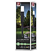 Paulmann Plug & Shine Baliza LED Flarea (Negro, Altura: 20 cm, Blanco cálido) | BAUHAUS