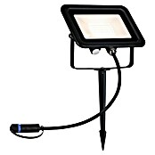 Paulmann Plug & Shine Foco LED de jardín Flood (Blanco cálido, L x An x Al: 26 x 160 x 145 mm) | BAUHAUS