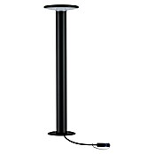 Paulmann Plug & Shine Aplique para exterior LED (5,5 W, RGBW, IP44, Temperatura del color: 3.000 K) | BAUHAUS