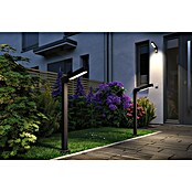 Paulmann Plug & Shine Foco LED de jardín Ito Vertical (7,5 W, Blanco cálido, L x An x Al: 30 x 4,7 x 110 cm) | BAUHAUS