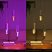 Philips Hue Smart-LED-Lampe Waca Lightguide Globe (E27, Dimmbar, RGBW, 500 lm, 6,8 W, 1 Stk., G95) | BAUHAUS