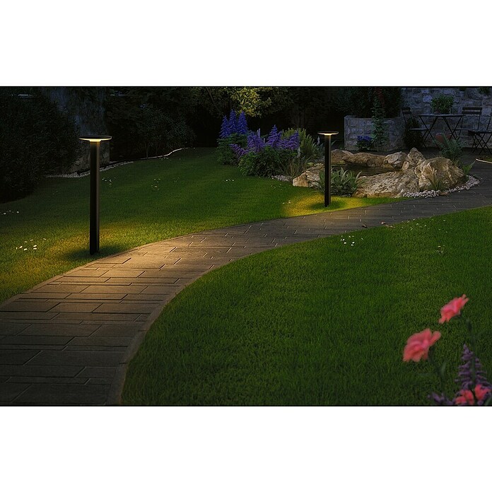 Paulmann Plug & Shine Aplique para exterior LED Plate (7 W, Ámbar, IP44, Temperatura del color: 2.200 K) | BAUHAUS