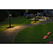 Paulmann Plug & Shine Aplique para exterior LED Plate (7 W, Ámbar, IP44, Temperatura del color: 2.200 K) | BAUHAUS