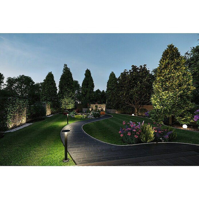 Paulmann Plug & Shine Aplique para exterior LED (5,5 W, RGBW, IP44, Temperatura del color: 3.000 K) | BAUHAUS