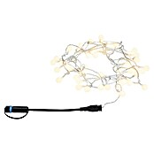 Paulmann Plug & Shine Guirnalda luminosa LED (Para exterior, Color de luz: Blanco cálido, Número de bombillas: 48 ud., Largo: 5 m) | BAUHAUS